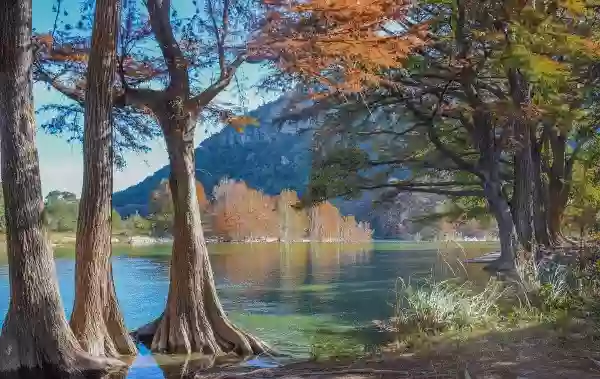 Foto de natureza ilustrativa do versículo da Bíblia: Daniel 2:21 - Ele muda os tempos e as estações; ele remove os reis e estabelece os reis; é ele quem dá a sabedoria aos sábios e o entendimento aos entendidos.