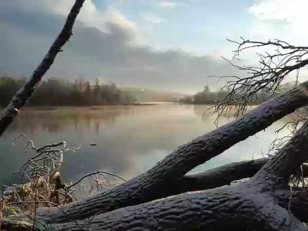 Foto de natureza ilustrativa do versículo da Bíblia: Daniel 8:15 - Havendo eu, Daniel, tido a visão, procurei entendê-la, e eis que se me apresentou como que uma semelhança de homem.