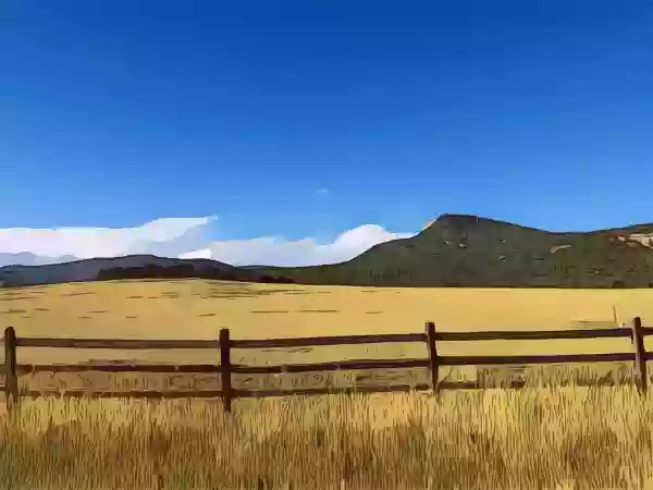 Foto de natureza ilustrativa do versículo da Bíblia: Mateus 11:5 - os cegos veem, e os coxos andam; os leprosos são purificados e os surdos ouvem, os mortos são ressuscitados, e aos pobres é pregado o evangelho.