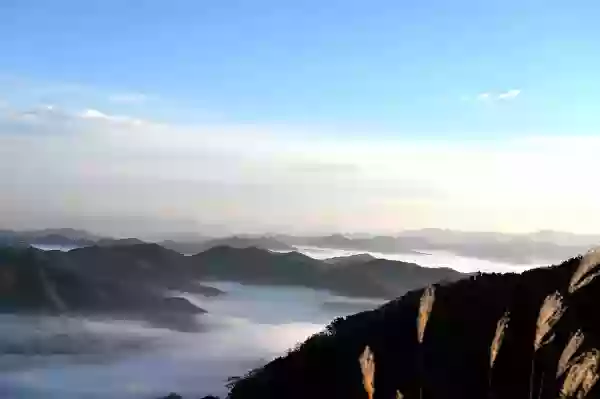 Foto de natureza ilustrativa do versículo da Bíblia: Ezequiel 42:2 - Do comprimento de cem côvados era esse edifício, e da largura de cinquenta côvados.