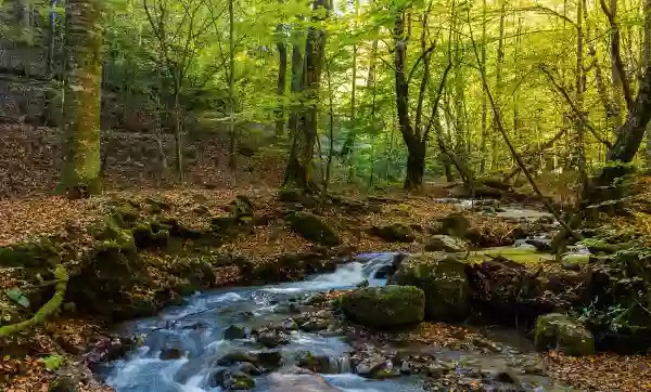 Foto de natureza ilustrativa do versículo da Bíblia: Daniel 3:27 - E os sátrapas, os prefeitos, os governadores, e os conselheiros do rei, estando reunidos, viram que o fogo não tinha tido poder algum sobre os corpos destes homens, nem foram chamuscados os cabelos da sua cabeça, nem sofreram mudança os seus mantos, nem sobre eles tinha passado o cheiro de fogo.