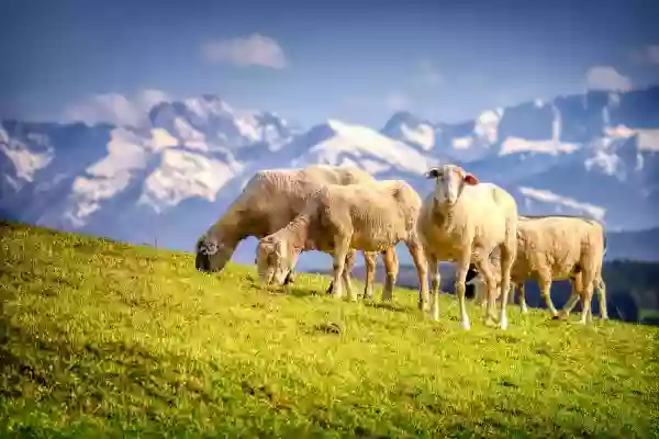 Foto de natureza ilustrativa do versículo da Bíblia: Mateus 10:9 - Não vos provereis de ouro, nem de prata, nem de cobre nos vossos cintos;