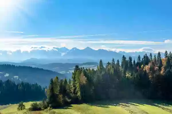 Foto de natureza ilustrativa do versículo da Bíblia: Levítico 7:38 - a qual o Senhor entregou a Moisés no monte Sinai, no dia em que este estava ordenando aos filhos de Israel que oferecessem as suas ofertas ao Senhor, no deserto de Sinai.