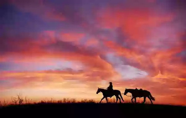 Foto de natureza ilustrativa do versículo da Bíblia: Filipenses 4:7 - e a paz de Deus, que excede todo o entendimento, guardará os vossos corações e os vossos pensamentos em Cristo Jesus.
