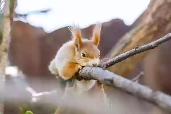 Foto de natureza ilustrativa do versículo da Bíblia: Mateus 10:8 - Curai os enfermos, purificai os leprosos, ressuscitai os mortos, expulsai os demônios; de graça recebestes, de graça dai.