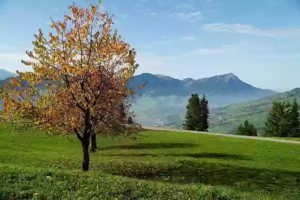 Foto de natureza ilustrativa do versículo da Bíblia: Ezequiel 47:16 - Hamate, Berota, Sibraim, que está entre o termo de Damasco e o termo de Hamate; Hazer-Haticom, que está junto ao termo de Haurã.