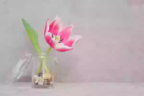 Foto de natureza ilustrativa do versículo da Bíblia: Daniel 2:4 - Os caldeus disseram ao rei em aramaico: rei, vive eternamente; dize o sonho a teus servos, e daremos a interpretação.