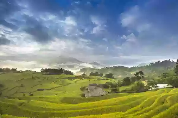 Foto de natureza ilustrativa do versículo da Bíblia: Levítico 7:17 - mas o que ainda ficar da carne do sacrifício até o terceiro dia será queimado no fogo.