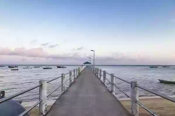 Foto de natureza ilustrativa do versículo da Bíblia: Daniel 3:11 - e qualquer que não se prostrasse e adorasse seria lançado numa fornalha de fogo ardente.