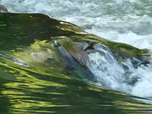 Foto de natureza ilustrativa do versículo da Bíblia: Oséias 2:3 - para que eu não a deixe despida, e a ponha como no dia em que nasceu, e a faça como um deserto, e a torne como uma terra seca, e a mate de sede.