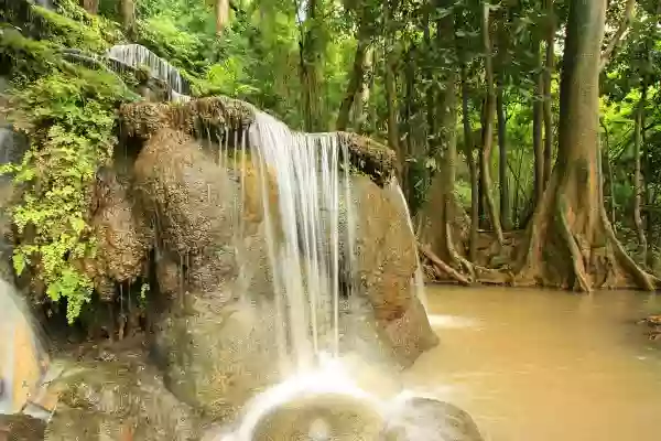 Foto de natureza ilustrativa do versículo da Bíblia: Levítico 7:12 - Se alguém o oferecer por oferta de ação de graças, com o sacrifício de ação de graças oferecerá bolos ázimos amassados com azeite, e coscorões ázimos untados com azeite, e bolos amassados com azeite, de flor de farinha, bem embebidos.