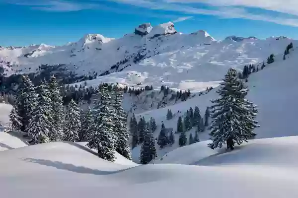 Foto de natureza ilustrativa do versículo da Bíblia: Oséias 5:5 - A soberba de Israel testifica contra eles; e Israel e Efraim cairão pela sua iniquidade, e Judá cairá juntamente com eles.