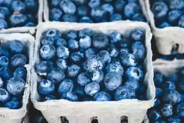 Foto de natureza ilustrativa do versículo da Bíblia: Levítico 6:20 - Esta é a oferta de Arão e de seus filhos, a qual oferecerão ao Senhor no dia em que ele for ungido: a décima parte duma efa de flor de farinha, como oferta de cereais, perpetuamente, a metade dela pela amanhã, e a outra metade à tarde.