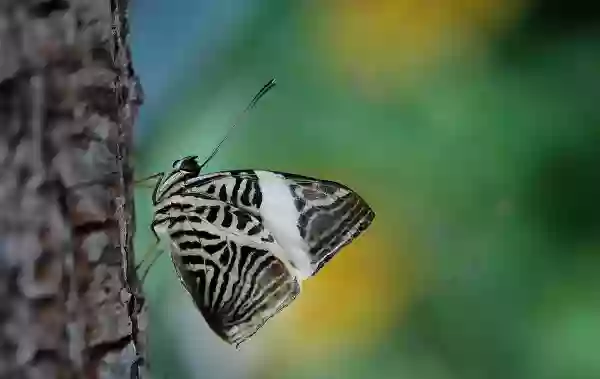 Foto de natureza ilustrativa do versículo da Bíblia: Filipenses 4:14 - Todavia fizestes bem em vos associardes na minha aflição.