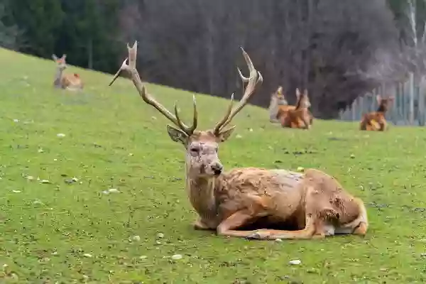 Foto de natureza ilustrativa do versículo da Bíblia: Daniel 11:29 - No tempo determinado voltará, e entrará no sul; mas não sucederá desta vez como na primeira.