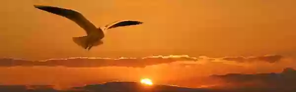 Foto de natureza ilustrativa do versículo da Bíblia: Levítico 6:28 - Mas o vaso de barro em que for cozida será quebrado; e se for cozida num vaso de bronze, este será esfregado, e lavado, na água.