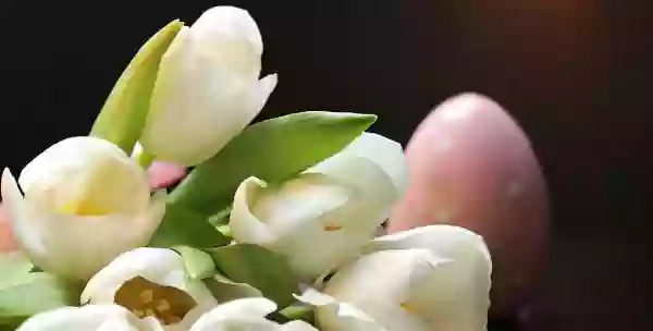 Foto de natureza ilustrativa do versículo da Bíblia: Daniel 1:4 - jovens em quem não houvesse defeito algum, de bela aparência, dotados de sabedoria, inteligência e instrução, e que tivessem capacidade para assistirem no palácio do rei; e que lhes ensinasse as letras e a língua dos caldeus.